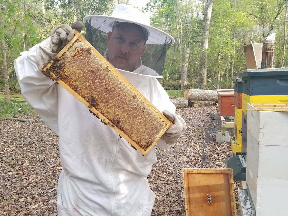 Raw Honey 10oz  Gallberry